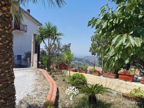Вид, La Suscella Bed & Breakfast in Торчіара