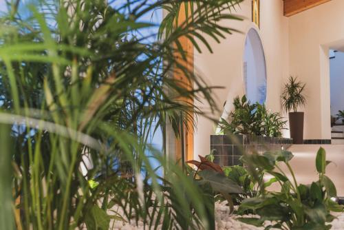 Hotel Pradillo Conil - image 4