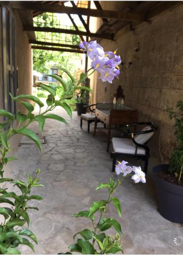 Un jardin en ville - Chambre d'hôtes - Sarlat-la-Canéda