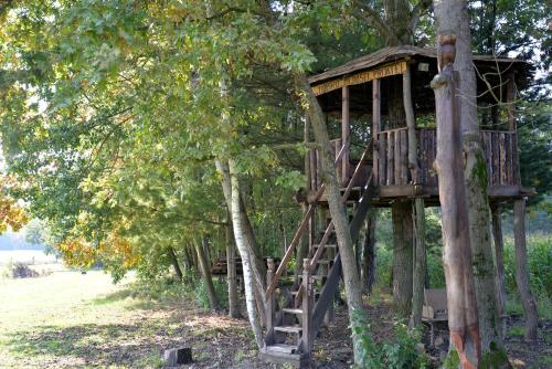 Old Oak House with pool