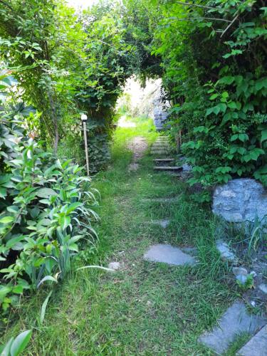 Alla Curva di Elia Manzoni 4