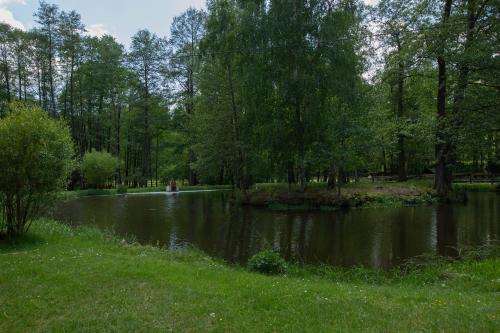 Penzion Štekrův Mlýn - image 8