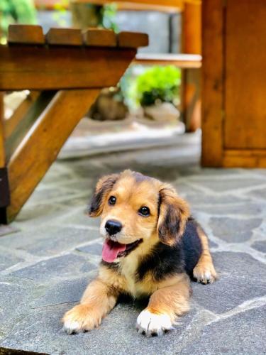 Brvnara Vršac Brvnara Vršac