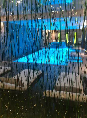 Double Room with Free Spa Access and Valley View (northern exposure)