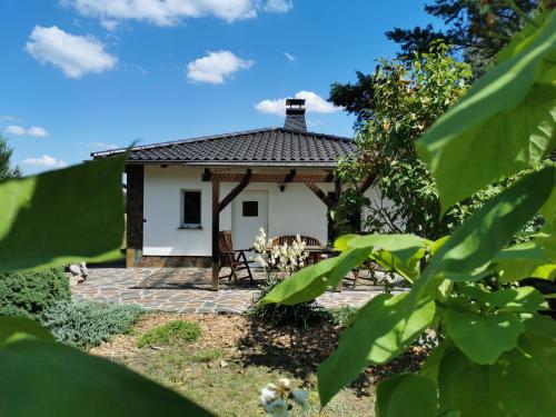 Ferienhaus Hase Bomsdorfer Hof - Gräfenhainichen