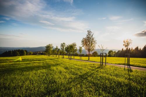 Turnovská chata (Turnovska chata) in Harrachov