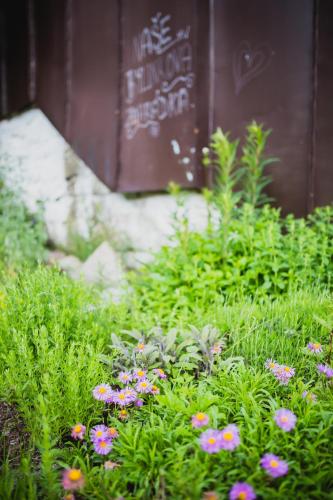 Turnovská chata Turnovská chata