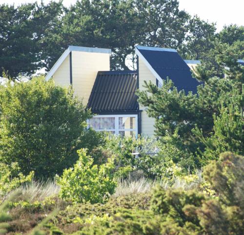 Kattegat Strand Camping - main image