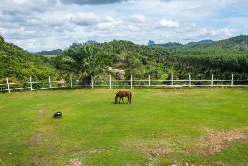 Phang Nga Viewpoint thumbnail 2