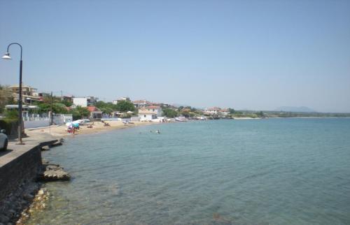 Petalidi Gedigio