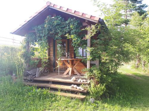Ferienwohnung am Dachsberg, Bayerischer Wald 8.4km von Falkenfels entfernt