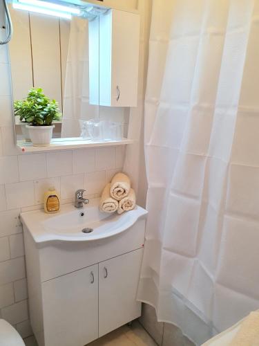 Apartman Rosic in Prozivka