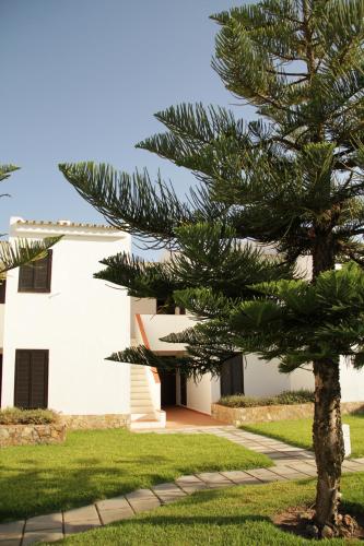 Barracuda Vilamoura - image 4