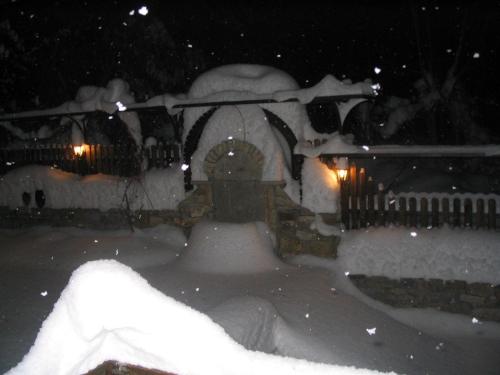 Hostel Mostel - image 8