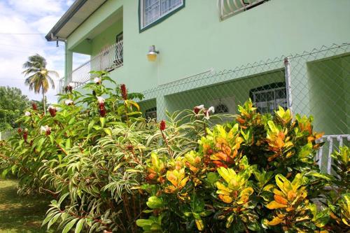 Little Flower Guesthouse