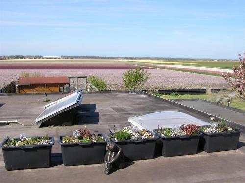  B&B ´Four Seasons´ in Julianadorp