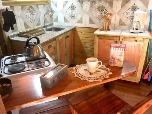 Los Quetzales in Ocean Park