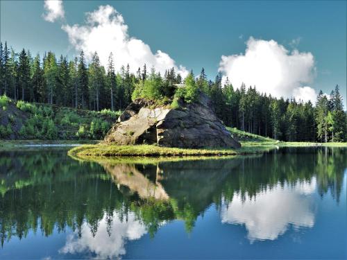 Naturforsthaus Gartenblick für tier- und naturverbundene Menschen