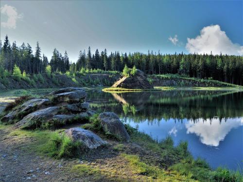 Naturforsthaus Ferienwohnung für tierverbundene Menschen