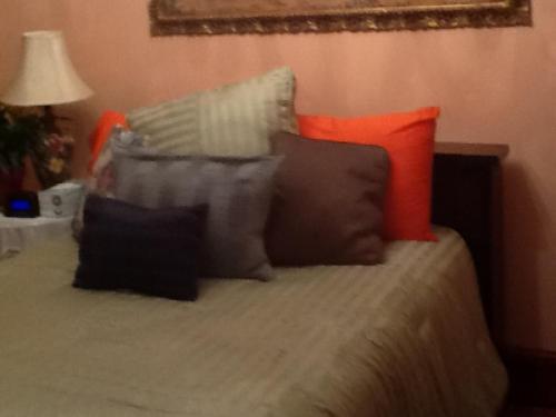 Ledroit Park Renaissance Bed and Breakfast in Washington, USA