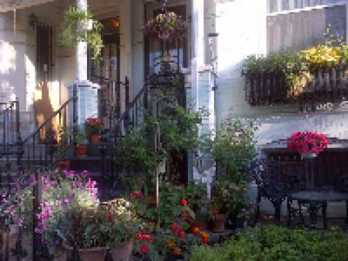 Ledroit Park Renaissance Bed and Breakfast