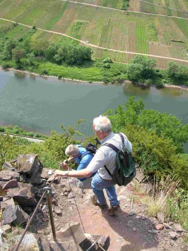 Weinhaus Berg - image 14