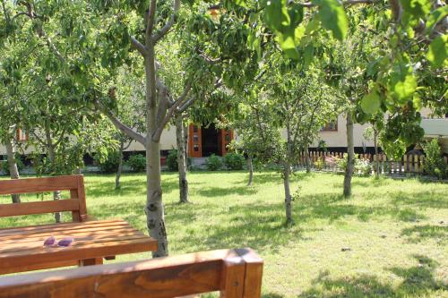 Dārzs, Guest House Sabriu in Rabdisht