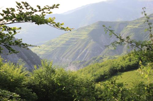 Guest House Sabriu - image 11