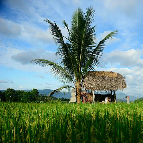 A Hotelcom Sanak Retreat Bali Resort Munduk Indonesia - 