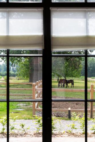 Haras de Barry