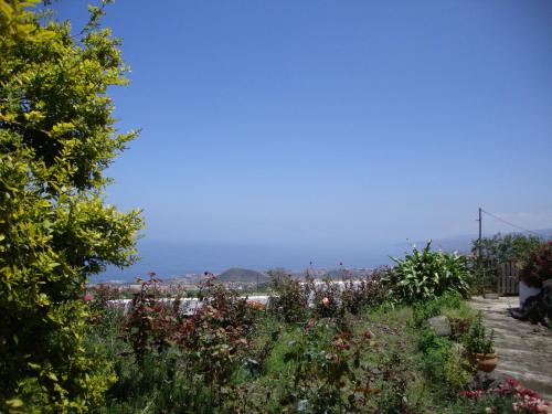  Casitas La Brenda y La Gaga in Los Realejos