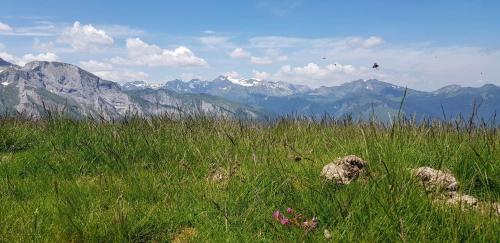 L' Aubisque