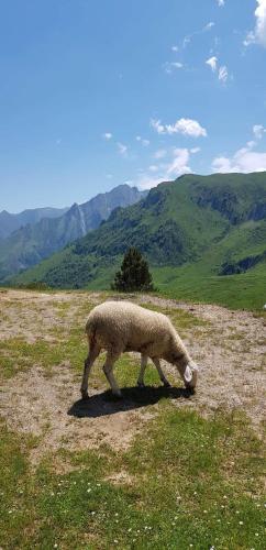 L' Aubisque