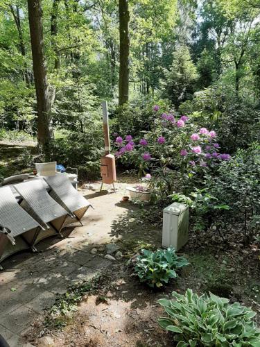 Aed, De Boshut Vledder in Vledder