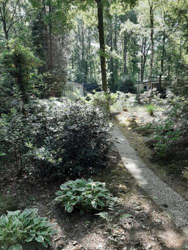 Aed, De Boshut Vledder in Vledder