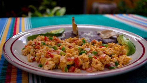 Hotel Las Golondrinas – Oaxaca, NE