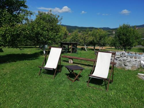 Camp Viljamovka - main image