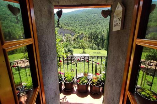 Rural Salut - Cal Peguera, casa de cuento en medio del bosque