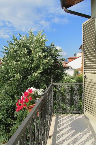 Guest House Zadeja - image 2