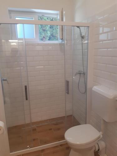 Damjanich Home close to the lake - image 14