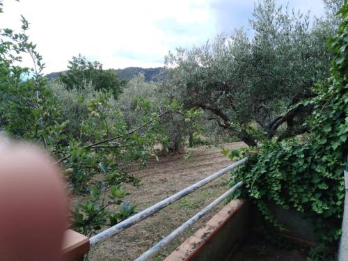 casa campagna Nicola