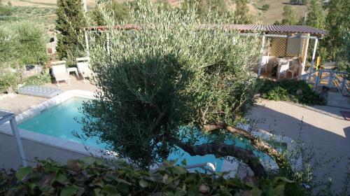 B&B Eyexei Domus