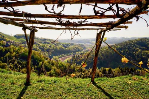 Ferienhaus Haring - image 11