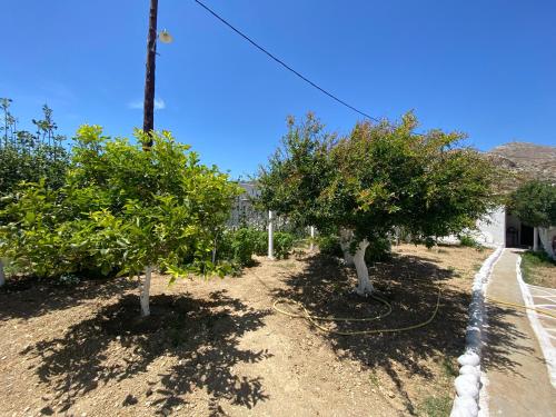 Michail Suites Afiartis Karpathos 5
