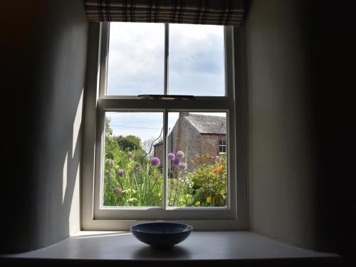Yew Tree - image 12
