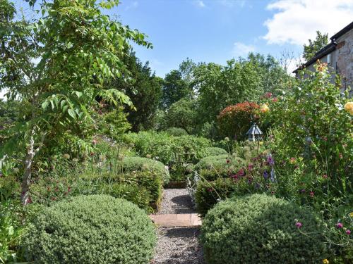 Yew Tree - main image