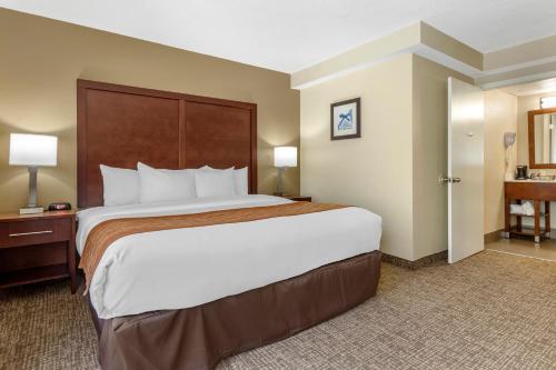 Comfort Inn Charlotte Airport Uptown