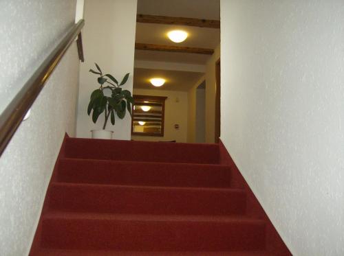 Hotel Maria - image 2
