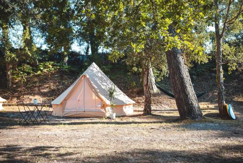 photo chambre WolfCamp Surf Moliets