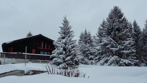 Appartement Chantilu